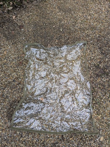 Aqua products trakker clear - or,