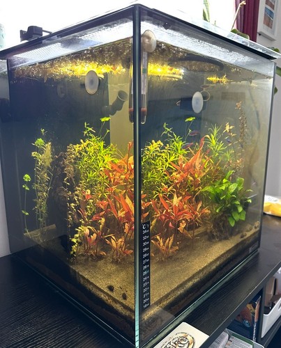 Aqua one nano reef - reef, 80