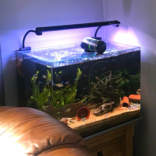 Aqua one gal approximately - one, 30