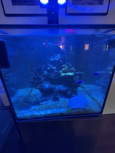Complete marine tank - complete, up